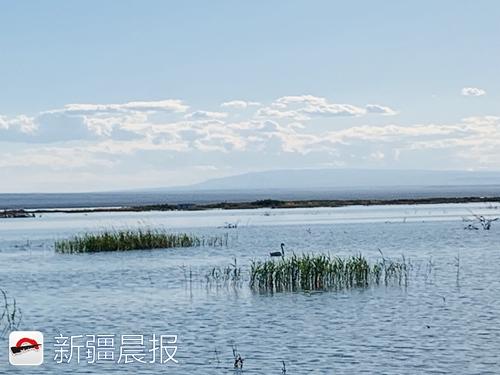 奔着“骆驼”来旅居，中国骆驼小镇在福?？そㄉ? inline=