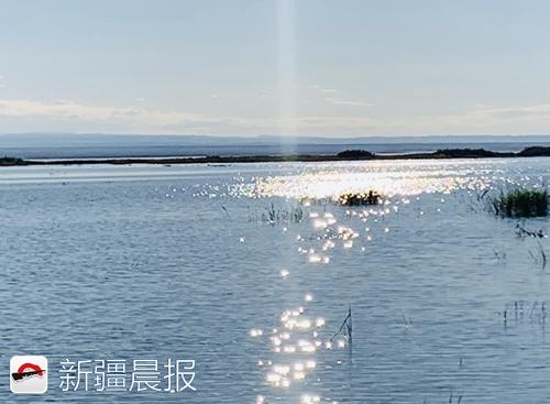 奔着“骆驼”来旅居，中国骆驼小镇在福海开工建设
