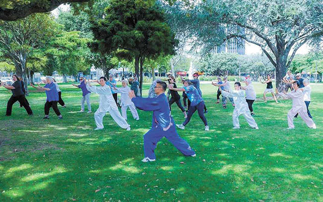 海外中国文化中心：全球抗疫中的文化力量