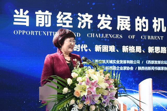 陕西省决策咨询委委员、陕西中国西部发展研究中心副理事长薛晓燕