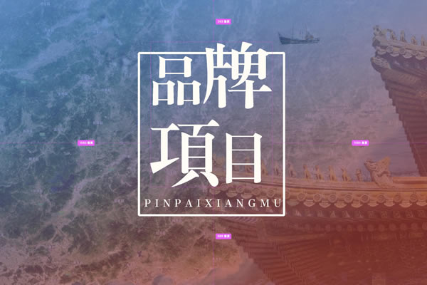 品牌项目