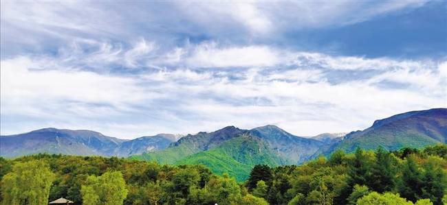 陕西这样开展义务植树 40年 4亿人次 年均6000万株