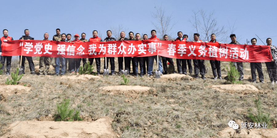 500亩，5万株，志丹县这样迎接全民义务植树运动40周年