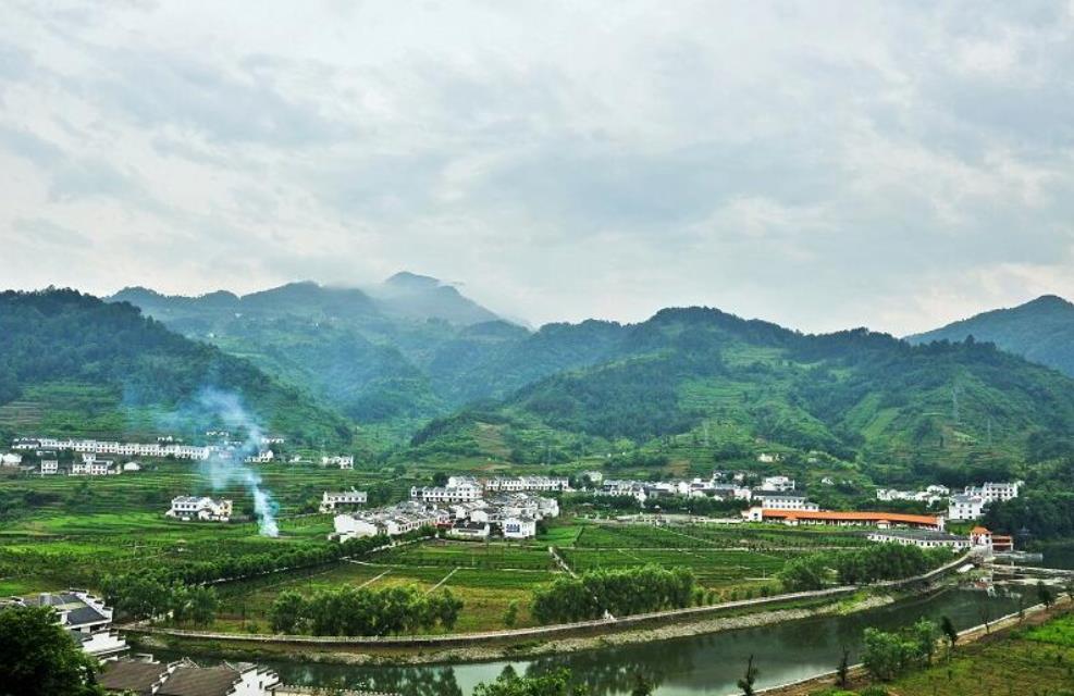 产业兴 农民富 生态优——陕西平利县践行“两山”理论做优山林经济纪实