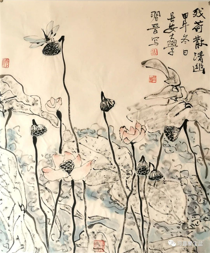 51